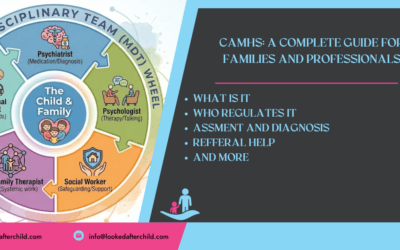 CAMHS: A Complete Guide for Families and Professionals