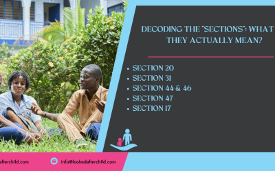 decoding the “sections”: what do they actually mean?