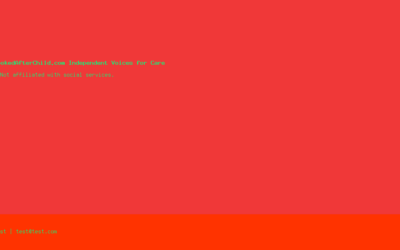 Is lookedafterchild.com Affiliated with Social Services